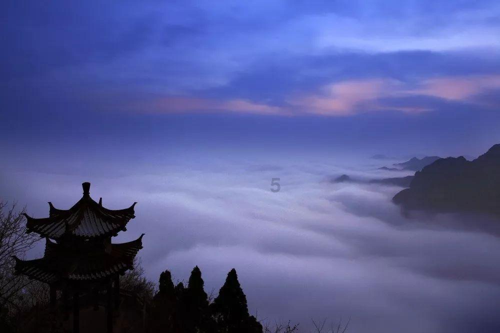 搏击运动：健身房中的战斗艺术